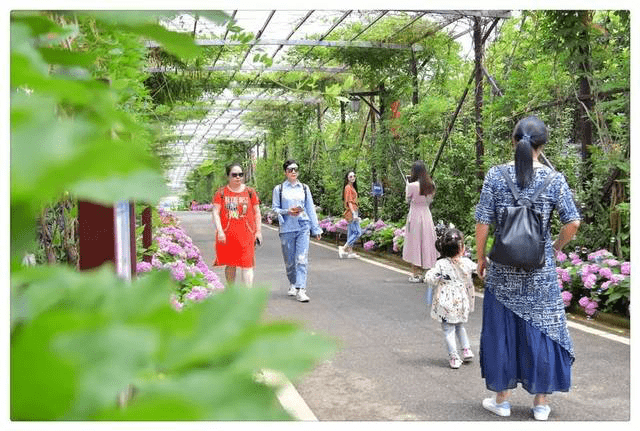 湖北鄂泰华田园综合体项目
