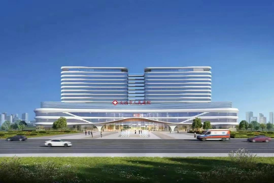 大冶市人民医院及疾控中心工程总承包（EPC）工程室外道路及管网工程